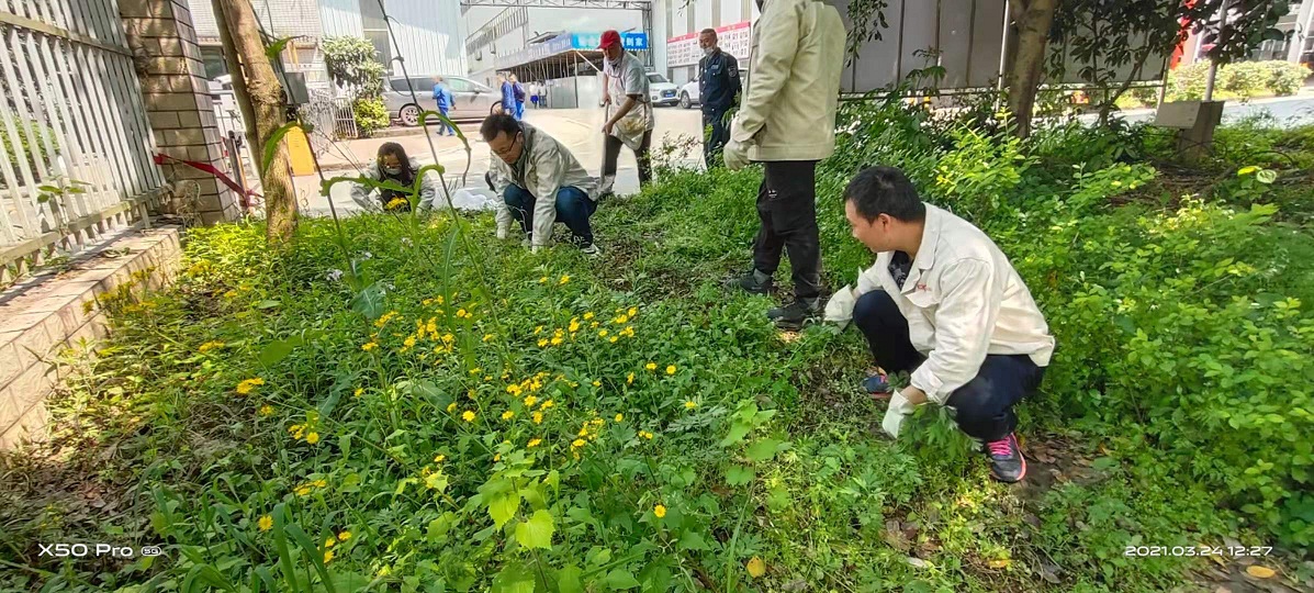 新建位图图像 - 副本